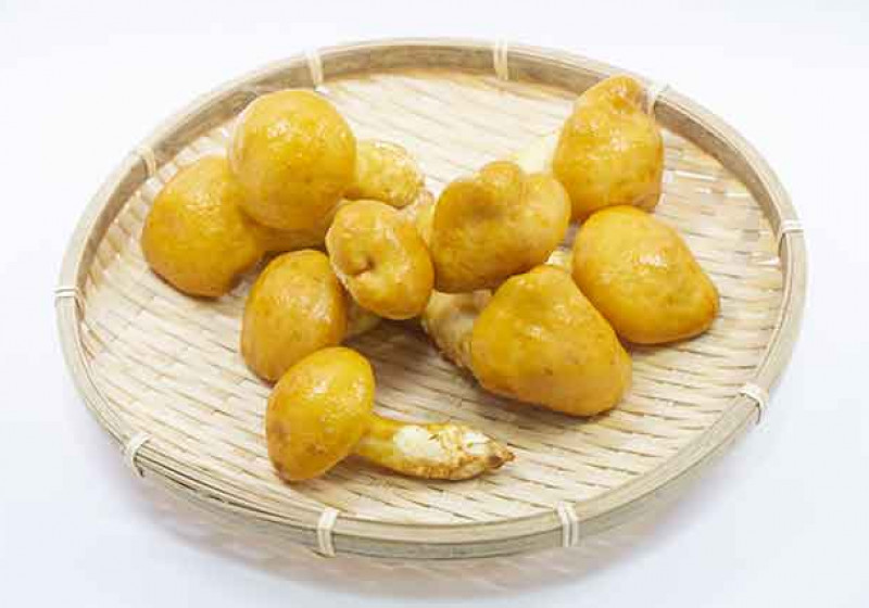 ジャンボなめこ パック単位 やまいち商店 デリバリーの注文 Deli Holic