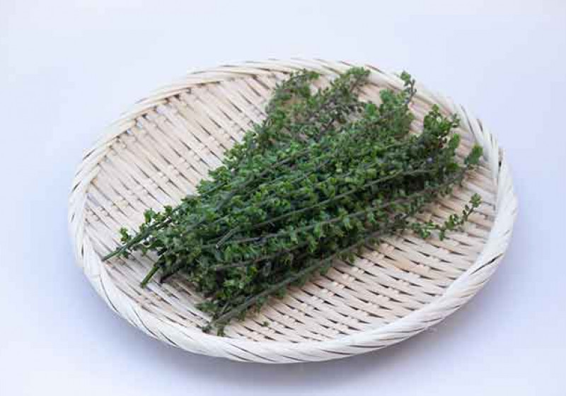 穂紫蘇 パック単位 やまいち商店 デリバリーの注文 Deli Holic