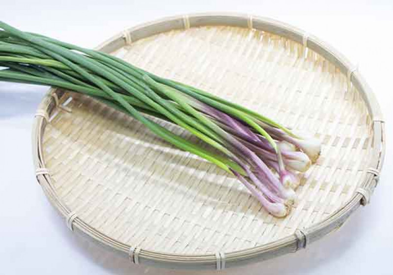 あさつき様専用 Www Nasaconline Org