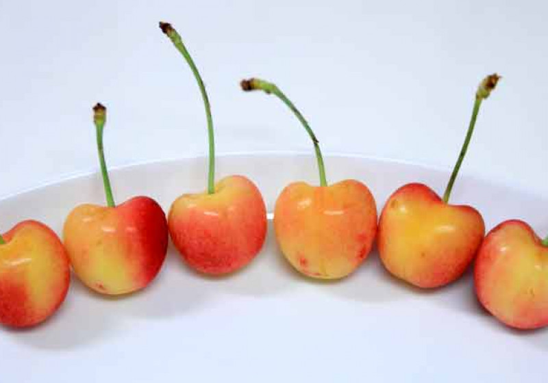 さくらんぼ レーニアチェリー やまいち商店 デリバリーの注文 Deli Holic